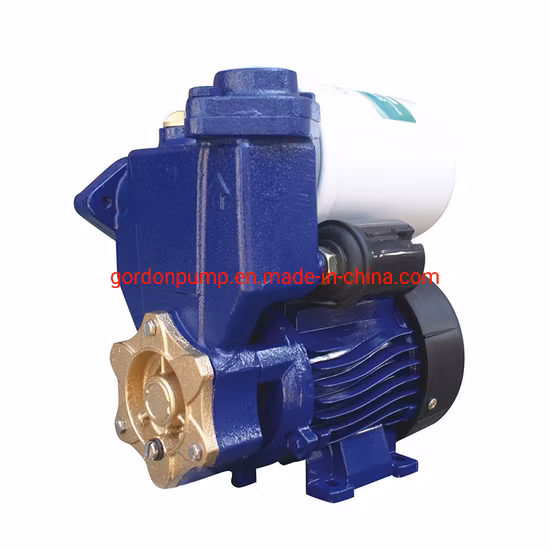 0.5HP Electric Auto Pressure Self